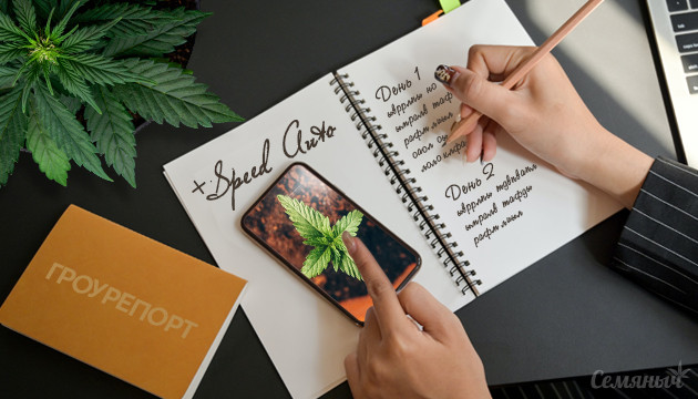 Выращивание сорта + Speed Auto от Sweet Seeds