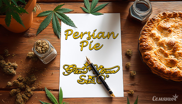 Гроурепорт сорта Persian Pie от Green House Seeds